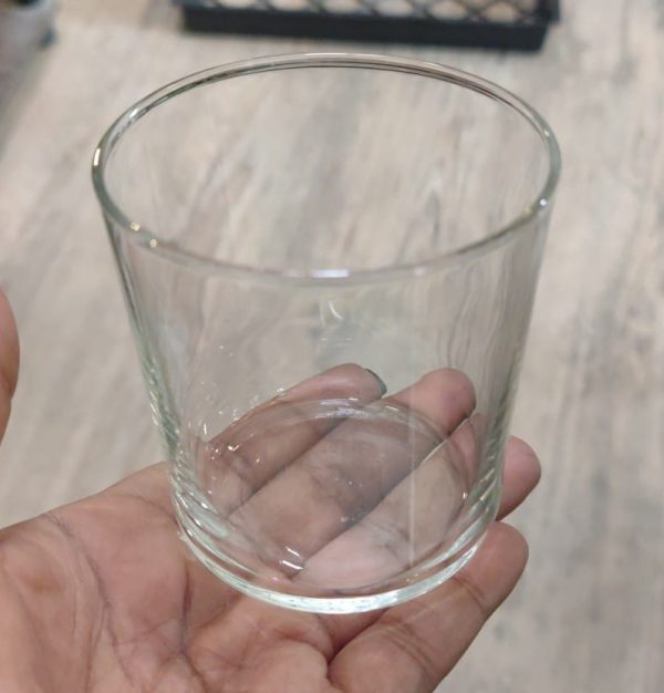 Clear Cactus/Candle Glass